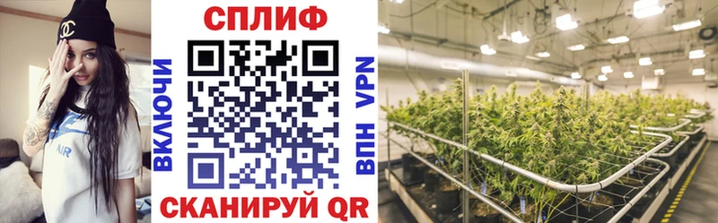 Купить Звенигород ГАШ СОЛЬ Галлюциногенные грибы Меф