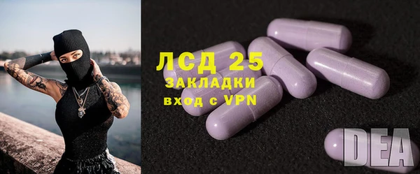 дживик Абинск