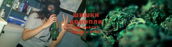 прущие крисы Абаза