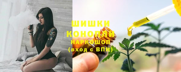 прущие крисы Абаза