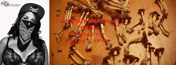 бутират Ростов