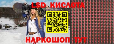 гидра Будённовск
