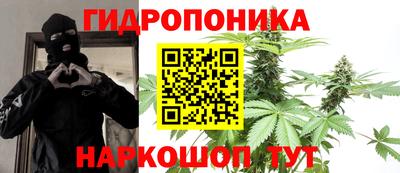 гидра Будённовск