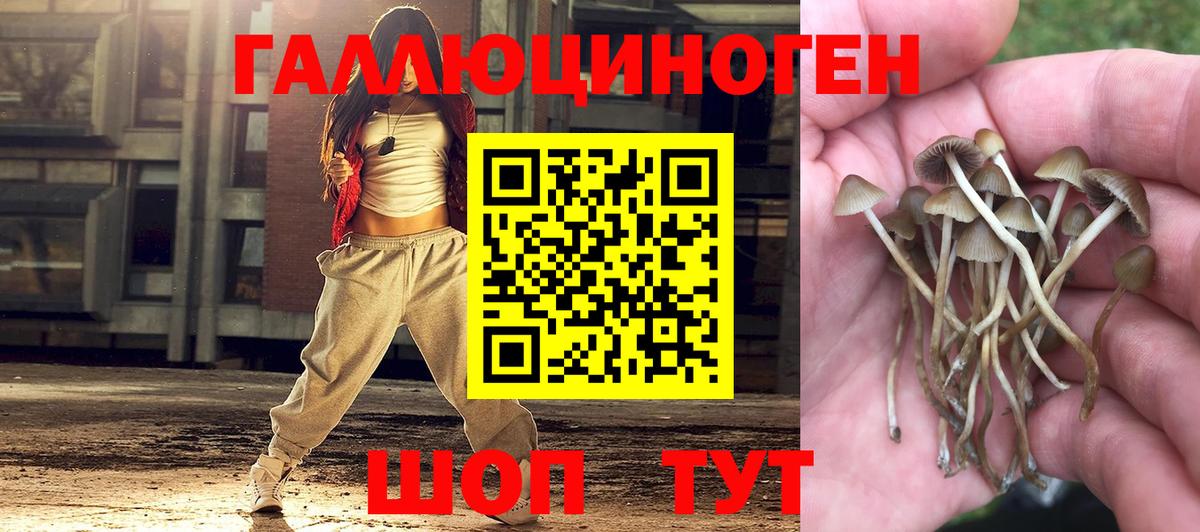 Псилоцибиновые грибы Magic Shrooms Звенигород
