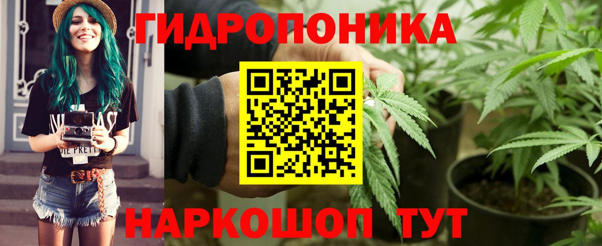 Бошки Шишки гибрид Звенигород